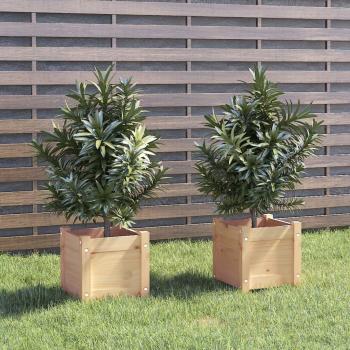Solid Pinewood Garden Planters 2 pcs 31x31x31 cm