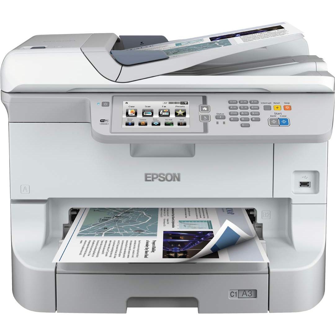 Imagen Principal