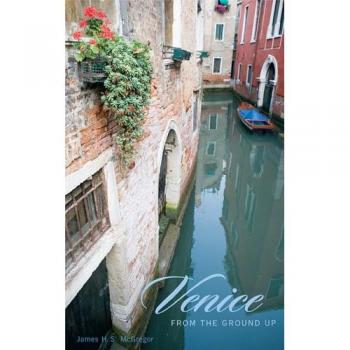 Venice from the Ground Up