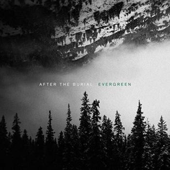Vinilo Evergreen - Alta Durabilidad y Resistencia al Agua