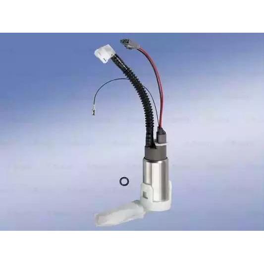 Imagen Principal
