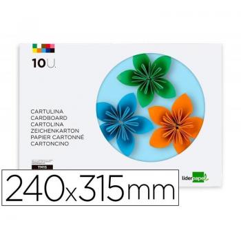 Bloc de trabajos manuales con cartulina 240x315mm 10 hojas 5 colores neon + 5 colores intensos
