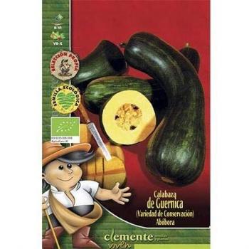 Semillas ecológicas de Calabaza comestible de Guernica
