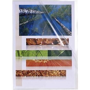 Exacompta 56111E - Estuche de 100 dossiers, A4, transparente