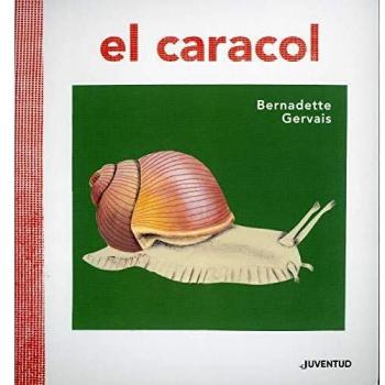 El caracol