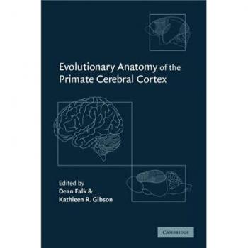 Primate Cerebral Cortex: An Evolutionary Anatomy Study by Dean Falk