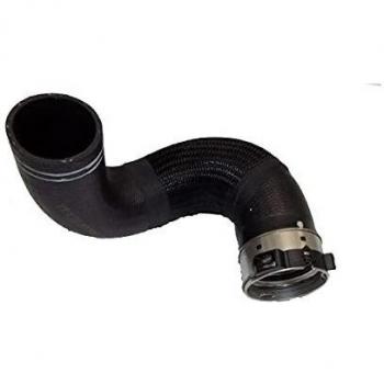 BUGIAD 81665 Tubo flexible de aire de sobrealimentación 50517401