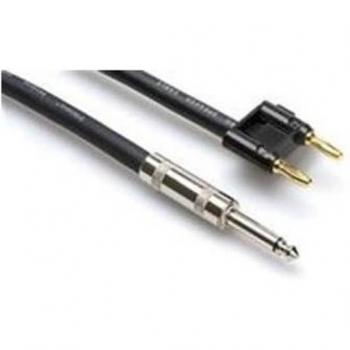 Hosa 1/4 TS to Dual Banana Phone 16AWG Speaker Cable, 20'