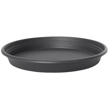 Semillas Perejil Gigante Italia 1 gr