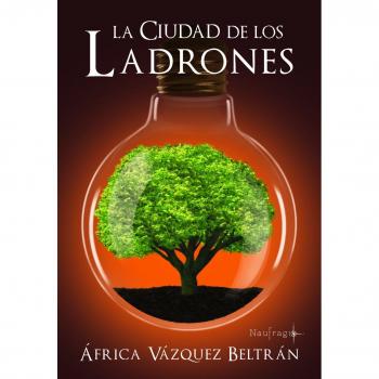 La ciudad de los ladrones - VAZQUEZ BELTRAN, Africa