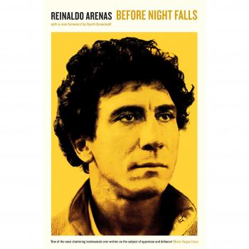 Antes de que caiga la noche: Reinaldo Arenas, novela