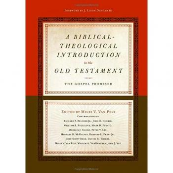 A Biblical-Theological Introduction to the Old Testament: The Gospel Promised