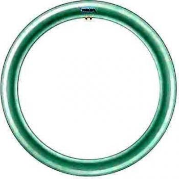 Tubo LED Circular Philips CorePro 20W 840 G10q Blanco Frío 120°