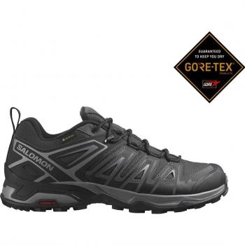 Zapatilla Salomon X Ultra Pioneer Goretex