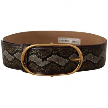 Dolce & Gabbana Brown Python Leather Gold Oval Buckle Belt - 80 cm / 32 Inches