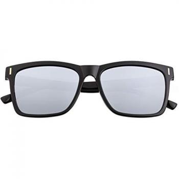 Breed Pictor Men's Polarized Wayfarer Sunglasses - Black/Silver - One Size