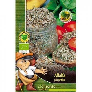 Semillas ecológicas de Alfalfa