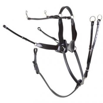 Collar elástico de caza 5 puntos para caballos Premiere
