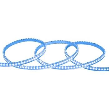 Tira LED Regulable 220V SMD 120 LED/m Color Azul 8.5W/m Ancho 12mm Corte de 20cm IP65 a Medida 50m