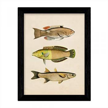 Lámina Vintage A4 Tres Peces Amarillos Beige Verde Naranja 250g Sin Marco