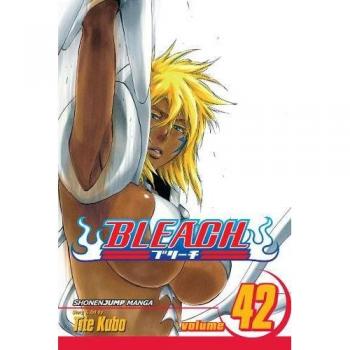 Bleach Volume 42