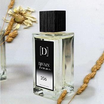 DIVAIN-206 Perfume para Hombre Equivalencia Fragancia