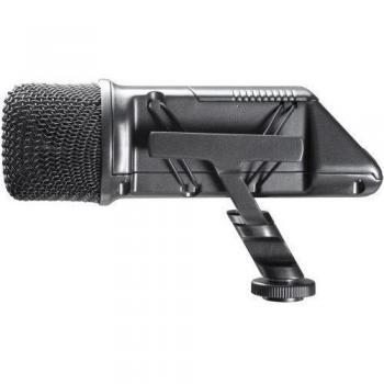 Stereo Videomic
