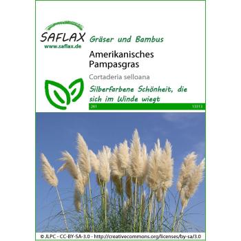 Saflax - American Pampa Grass - 200 semillas