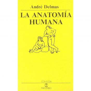 La anatomía humana