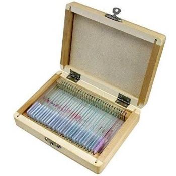 BCrown 25 muestras de botánica para microscopio