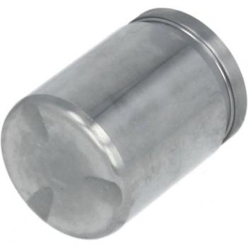 Émbolo de pinza del freno AUTOFREN SEINSA D025235, Delantero