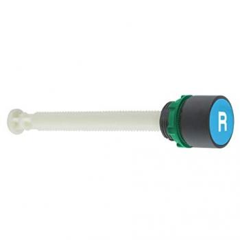 Pulsador Rasante Rearme Azul Schneider Electric Harmony XB5, Montaje en Panel, IP66