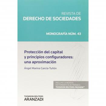 Protección del capital y principios configuradores: una aproximación: 43