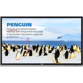BENQ 9h.f2ftc.de2 Monitor