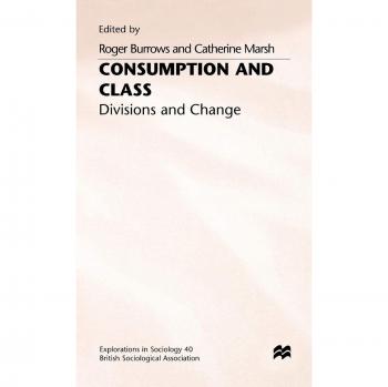 Consumption Class Division: Divisions and Change