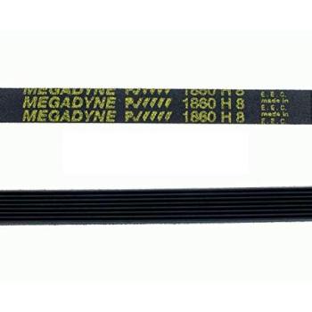 Correa Secadora 1860 H8 Universal para Indesit, Ariston Hotpoint, Candy, Nogamatic, Rosieres y Whirlpool