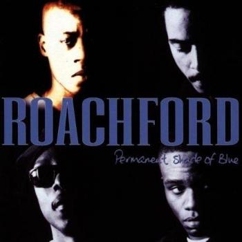 Permanent Shade Of Blue