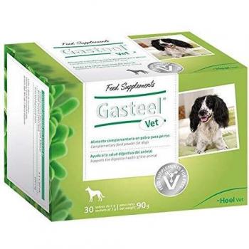 Gasteel Vet Alimento Complementario En Polvo para Perros. Simbiótoco