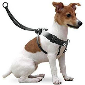 Arnés y Collar con Correa Karlie Flamingo Easy Walker para Perros (Tamaño S, Ajustable 22-32 cm)