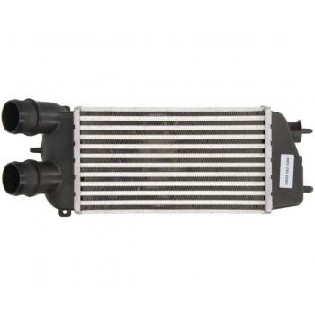 Intercooler NRF 309029 para CITROËN C3 I Schrägheck (FC, FN_) - Radiador de aire de admisión
