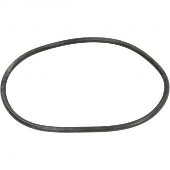 Junta tórica de la caja de cambios Euroricambi 95534676 - Anillo obturador, compatible con sistemas de transmisión, fabricado en material resistente a altas temperaturas y presiones, diseñado para proporcionar un sellado eficaz y dur