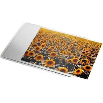 Esselte Alfombrilla personalizable, 19 x 24 cm, Transparente, 67691
