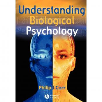 Biological Psychology: A Comprehensive Guide to Understanding Mind-Body Connections