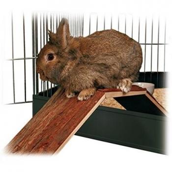 Trixie Natural Living Bridge for Rabbit Guinea Pig Wood