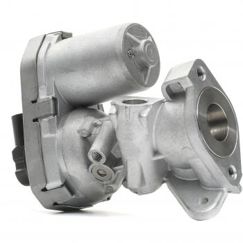 Válvula EGR DELPHI EG10399-12B1