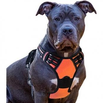 Eagloo Arnes de Perro Antitirones Cómodo Chaleco Ajustable Correa al Cuello y Pecho para Perros Mediano Material Duradero Transpirable con Cinta Reflectante Adaptarse a Ejercer Externo M/Naranja