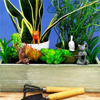 Mini Yoga Cat Garden Gnomes Set of 4