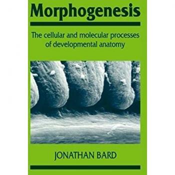 Morphogénesis: Procesos Celulares y Moleculares de la Anatomía del Desarrollo (Serie de Biología del Desarrollo y Celular, Volumen 23)