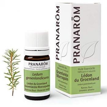 Pranarom Labrador Tea Essential Oil 5ml - Ledon du Groenland