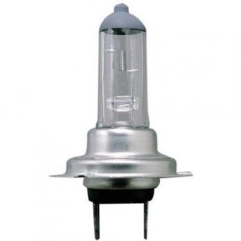 Sumex Tes1307 - Lámpara H - 7, 12V, Px26D, Caja